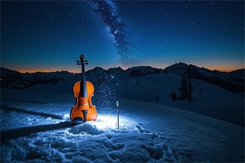 Beijing Short-Term Violin Zero-Basis for Kids   Online Fun